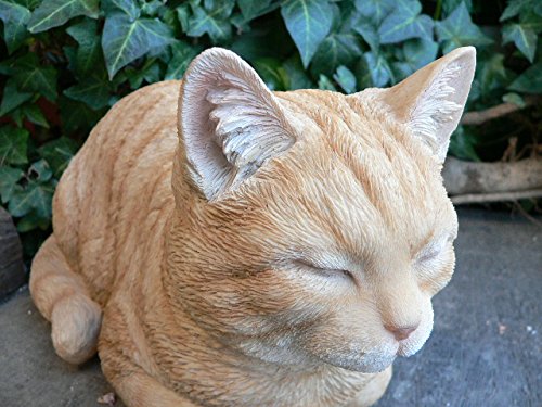 Amazon.co.jp: 猫の置物 香箱座り(こうばこずわり)猫(茶トラ