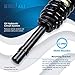 Detroit Axle - Front Struts Sway Bars for 2006-2010 Hyundai Sonata 2006-2011 Azera Complete 2 Struts with Coil Spring 2 Sway Bar Links 2006 2007 2008 2009 2010 Replacement Ready Strut Shocks Assembly