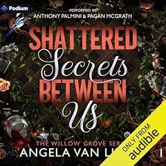 Shattered Secrets Between Us Audiolibro Por Angela van Liempt arte de portada