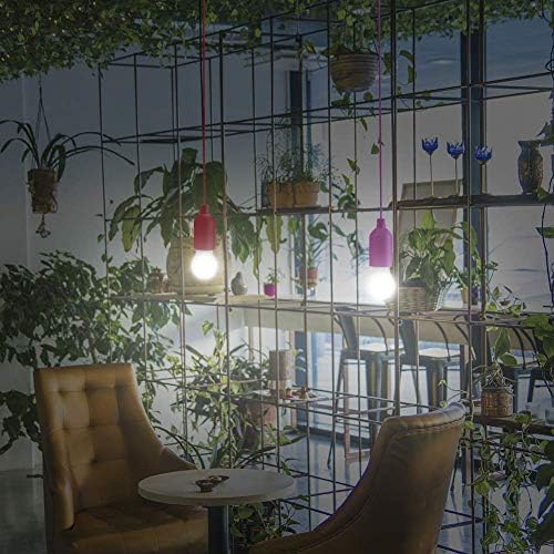 Glighone 4 Pack LED Pull Cord Light Bulb Battery Operated Light Bulb Portable Hanging Pull Cord Lamp On A Rope for Weddings Festivals Camping Parties BBQ's Decoration, Cool White