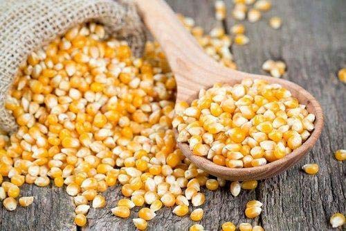 Roods Fresh Popcorn Kernels | Unpopped Popcorn Seeds | Makki | Premium | 1 KG Pack-picture-32