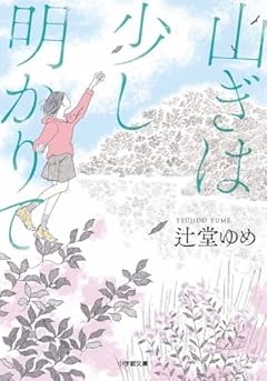 山ぎは少し明かりて (小学館文庫 つ 14-2)