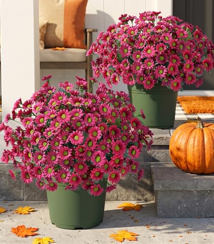 Image of HyeFlora Artificial Mums for Outdoors Fall Decor, 6 Bundles Fake Flowers UV Resistant Realistic Faux Flowers Bouquet Silk Flowers for Outside Planter Porch Patio Garden Yard Balcony Home, Fushsia