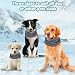Kühlhalsband für Hunde, Kühlendes Hundehalstuch, Kühlender Hundeschal, Kühlendes Hundehalsband Kühlend, Kühltuch Hund Halstuch Kühlend, Bandana Hunde Halstücher Kühlend, für Kühlung Hund im Sommer