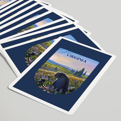 Lantern Press Baraja de Poker, 52 Cartas Tamaño Poker miniatura 5