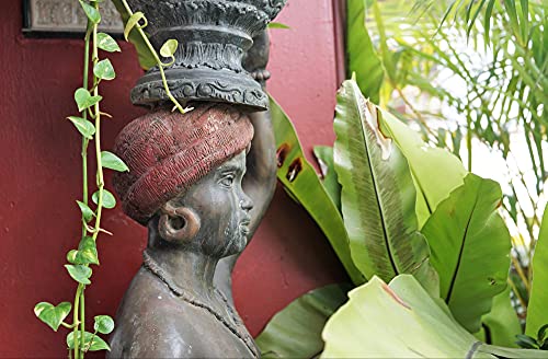 Preisvergleich Produktbild HANSEPUZZLE 80388 - Afrika Puzzle 500 Teile / Hintergründe Puzzle mit hochwertiger Puzzle Aufbewahrung: Kartonbox und wiederverschließbarem Beutel / Puzzle-Maße: 46 x 30 cm