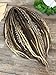 Ready to ship Dark blonde light Brown and Cream Blonde color Dreadlocks set Double ended dreads 20 inches Combination of Curly Textured and Straight dreads Mix color Boho Handmade dreadlock extensions
