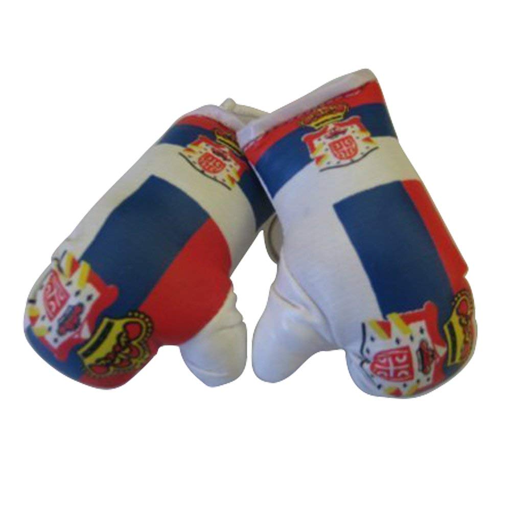FNG Mini Boxing Gloves (Country: USA) - Flag Small to Hang Over Car Automobile Mirror - Americas