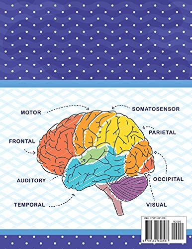 Neuroanatomy Coloring Book: The Ultimate Human Brain student's self-test Coloring book for Neurosci