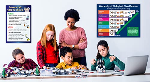 Zoco - Biology Poster - Hierarchy Of Biological Classification - Taxonomy - Science Poster - Science Teacher Supplies For Middle High School Classrooms - Laminated, 17 X 22 Inches #TOP1