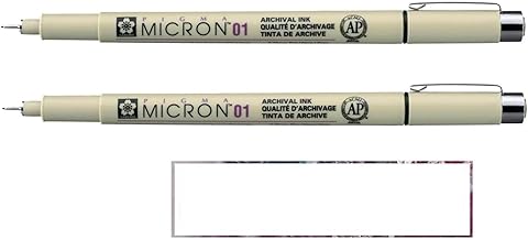 PIGMA MICRON Sakura 01 Black 2 Pack & 1 Card