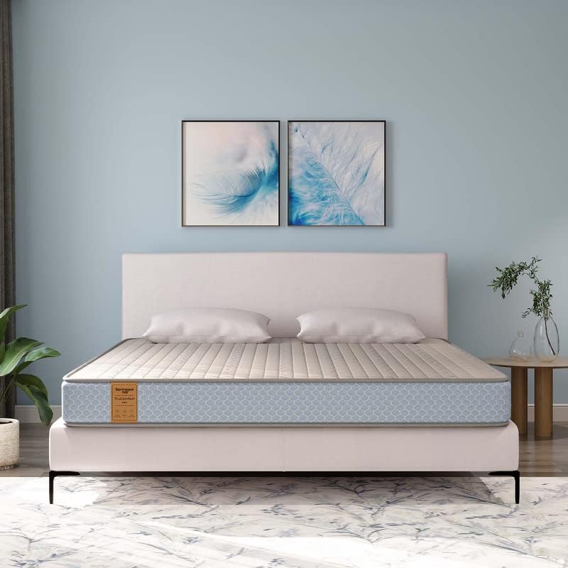 Springwel easy Pro 6 inch Latex foam King Size Mattress