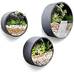 Maceteros De Hierro Redondos JonesHouseDeco de macetas Redondas de Metal, florero para decoración de Interiores, Gris Oscuro 10cm Espesor