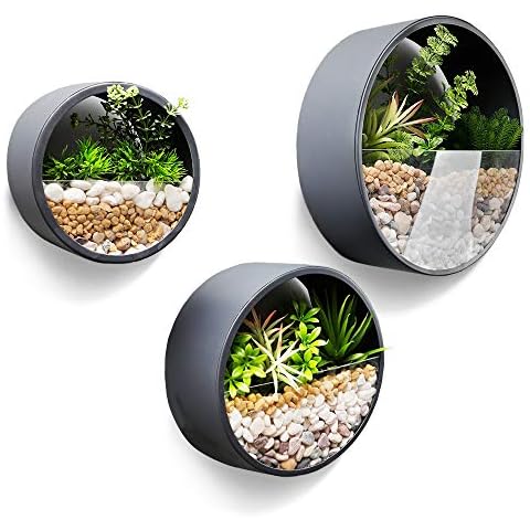 JonesHouseDeco 3 Sets Metal Round Wall Planter Hanging Wall Vase Flower Pot for Indoor Decor Home Supplies for Planting Cactus, Succulent,Moss Dark Gray 10cm Thick Cover