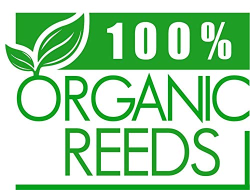 Gonzalez Gd Clarinet Reeds #3 #TOP2