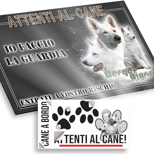 Attenti al cane Pastore Bianco Svizzero Cane