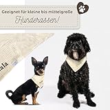 Hundehalstuch mit Namen Bestickt, Oeko-TEX® Standard 100 - Personalisiertes Hunde Halstuch als Geschenk für Hundeliebhaber (Beige)