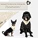 Hundehalstuch mit Namen Bestickt, Oeko-TEX® Standard 100 - Personalisiertes Hunde Halstuch als Geschenk für Hundeliebhaber (Beige)