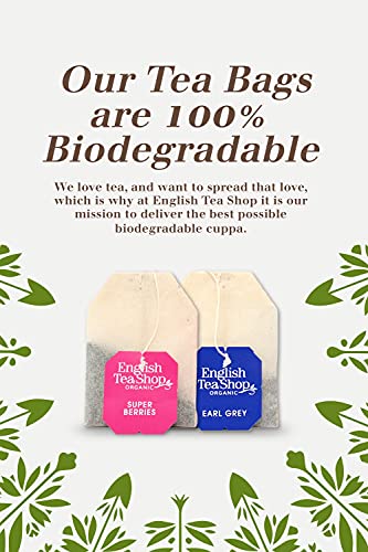 English Tea Shop Organic Pure White Tea - 20 Sachet Tea Bags (3 Packs, 60 Sachet Tea Bags) #TOP7