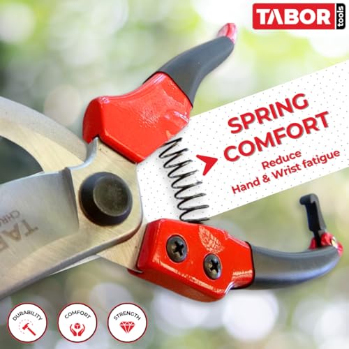 Tijeras de podar TABOR TOOLS S821A con hojas cromadas 3/4 pulg miniatura 3