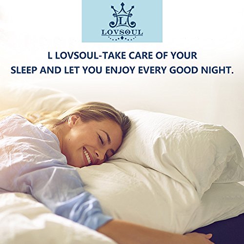 L Lovsoul Goose Down Feather Pillow White Down Feather Pillow Queen Size(20X28Inches;2-Pack) Pillows For Sleeping-Medium Soft Pillow 100% Egyptian Cotton Fabric 1000 Thread Count #TOP5