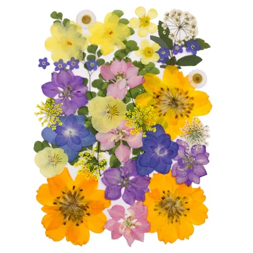 Flores secas prensadas naturales para manualidades x34 miniatura 1