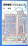 国際機関ってどんなところ (岩波ジュニア新書 237)