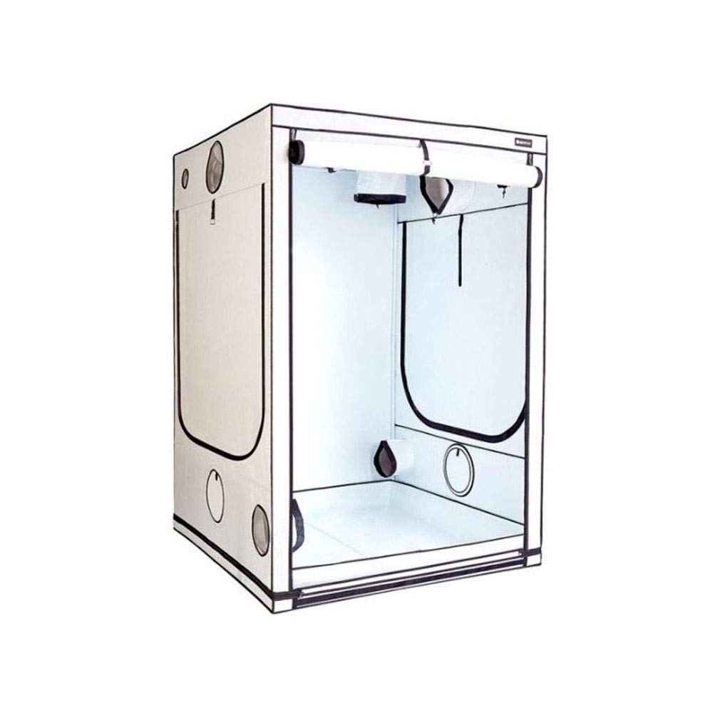 Grow Room Indoor Tent HOMEbox Ambient Q150+ (150x150x220cm)