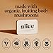 Alice Mushrooms Brainstorm | Mushroom Chocolates | Energy Bites for Focus, Clarity & Cognitive Function | Lions Mane, Cordyceps Mushrooms, Guarana & Phosphatidylserine, Natural Caffeine | Nootroopic
