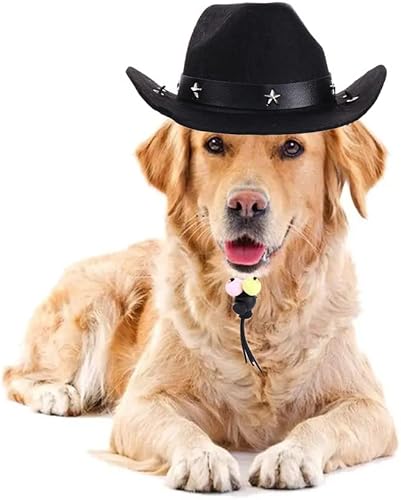 Miniatura 3 de Juego de 8 piezas de disfraz de perro y gato, 6 lentes de sol para mascotas, 2 sombreros de vaquero occidental, disfraz de cosplay, accesorios de