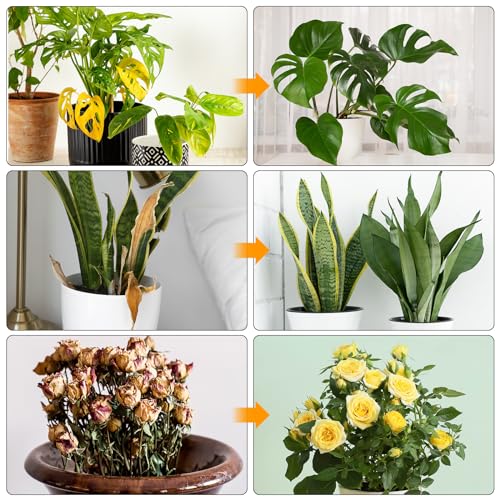 Miniatura 7 de Ainiv Lámpara De Plantas, 72 Led Luz De Crecimiento De Espectro Completo Con Base, 180 Grow Light Con Temporizador Automático 3h 9h 12h Y 9 De Brillo, Altura Ajustable, Para Plantas Pequeñas