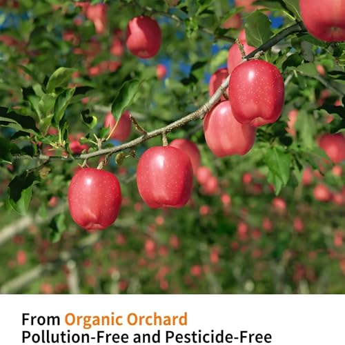 XLpeixin Peças Suportes De Treinamento De Pássaros Para Papagaios, Suporte De Poleiro Em T Natural P