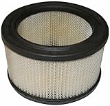 Air Filter 111316 P607234 Compatible with Cushman 780 Series and Chevrolet All Truck Models