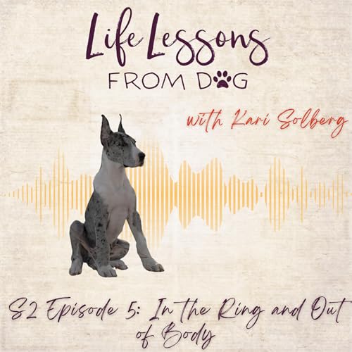 『In the Ring and Out of Body: When Obedience Breaks Down Under Pressure』のカバーアート