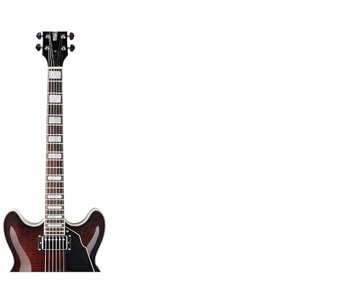 Amazon.com: GROTE Jazz Electric Guitar Semi-Hollow Body Trapeze