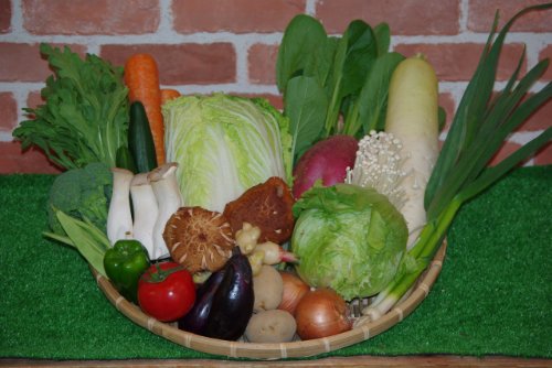 【わけあり】ボリューム満点!!高知の新鮮野菜詰め合わせセット【20品+】