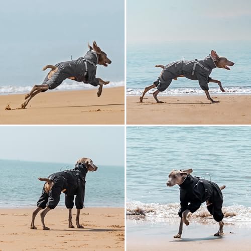 PAWBOSE Hunderegenmantel mit Geschirr für mittlere und große Hunde, verstellbare wasserdichte Hunderegenjacke, reflektierender regenfester Hunde 4 Beine Regenmantel Schwarz, 4XL