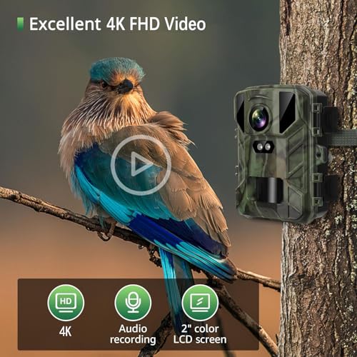 VanBangTec Mini Wildkamera 4K 50MP, Wildtierkamera mit Nachtsicht Bewegungsmelder 850 IR LEDs, 0,2s Schnelle Trigger, Wasserdicht Nachtsichtkamera mit 32G Speicherkarte, Jagdkamera für Wildbeobachtung