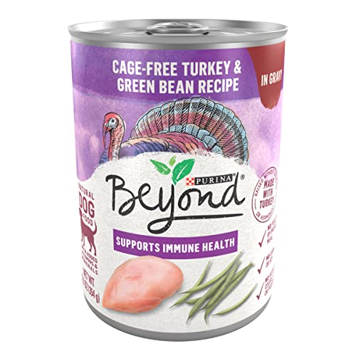 Image showcasing 10 Ground Turkey Dog Food Recipes to Impress Your Pup's Taste Buds: A ...