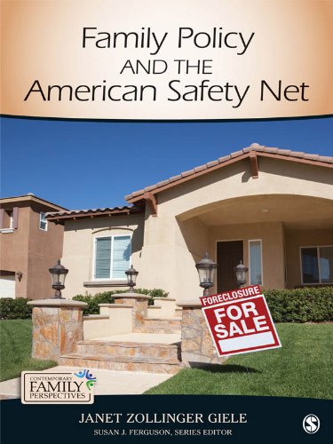 Family Policy and the American Safety Net: SAGE Publications (Contemporary Family Perspectives (CFP))