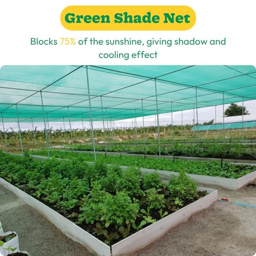 Image of Multipurpose Green Shade Net | UV-Stabilized Agro & Garden Net | Blocks 75% Sunlight (10 ft X 20 ft)