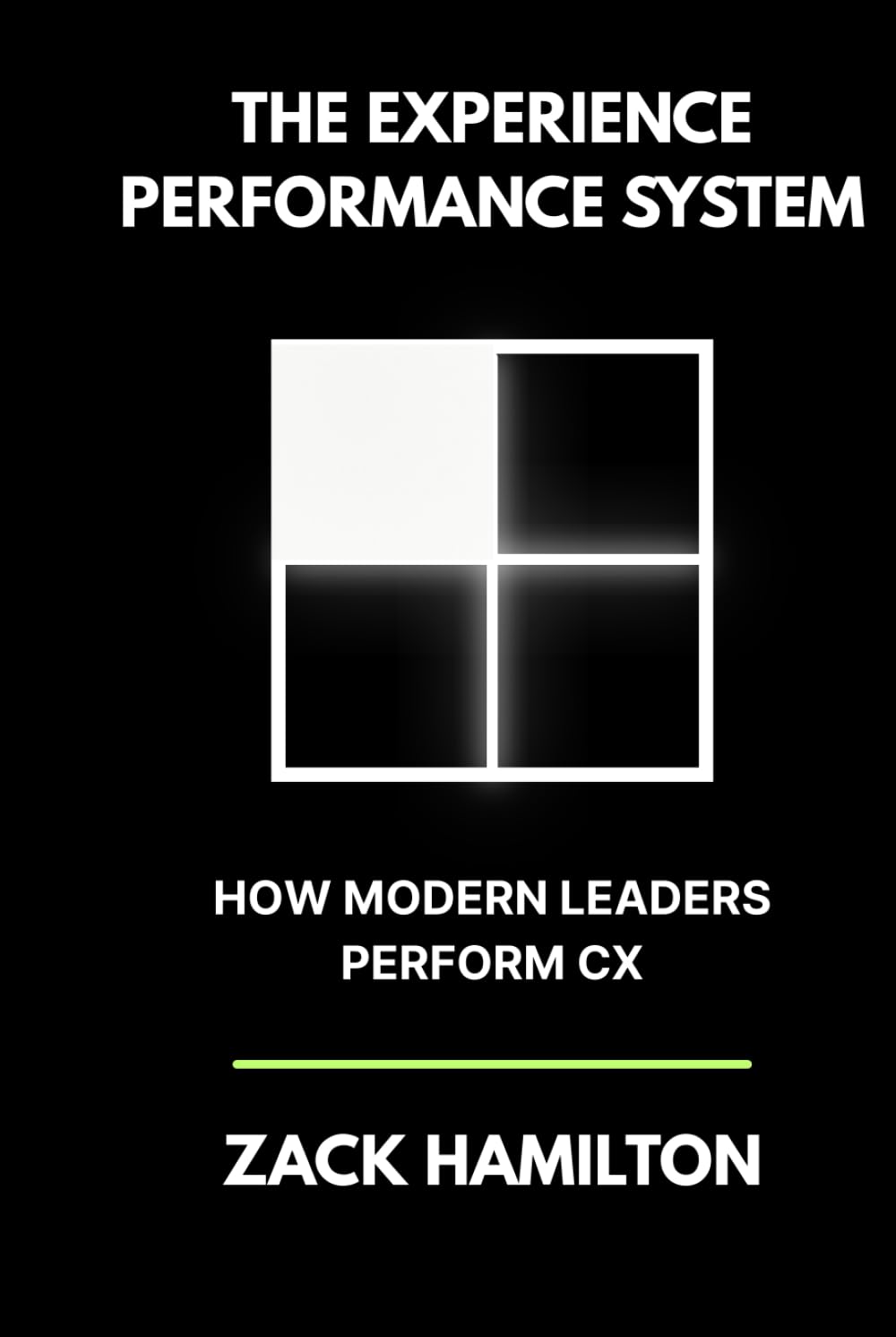 The Experience Performance System