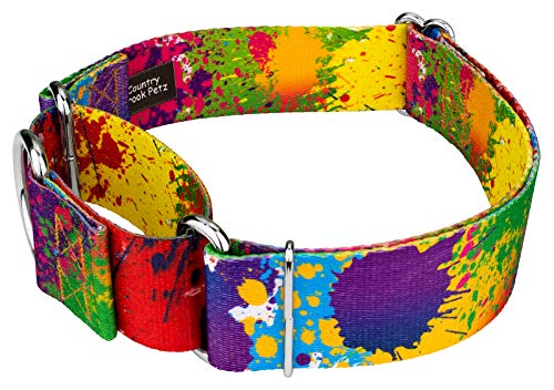 Country Brook Design Paint Splatter Martingale Dog Collar #TOP2