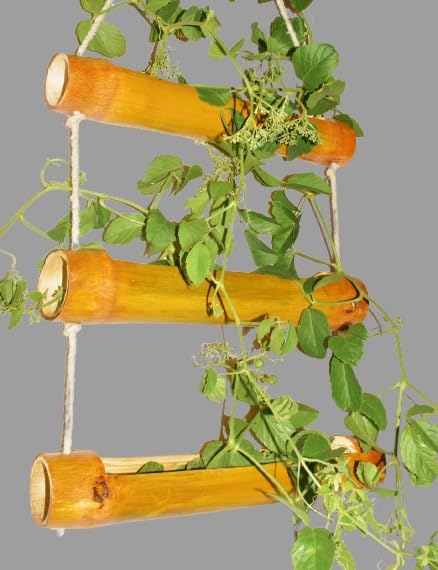 WATIKA CRAFT Wall Hanging pots for Plants, Natural Bamboo Planter. Hanging pots for Plants Indoor, Hanging pots for Plants Balcony. (3 Step Planter) (B0C4KPX3R3) Amazon Price History, Amazon Price Tracker