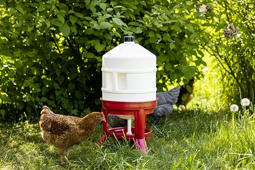 Kerbl Geflügeltränke (Tränke / automatische Wasserversorgung für Geflügel, Höhe 70 cm, 30 Liter, Kunststoff rot/weiß) 70233