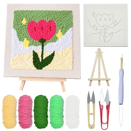 Kit de broderie aiguille de poinçonnage débutant pour projet facile