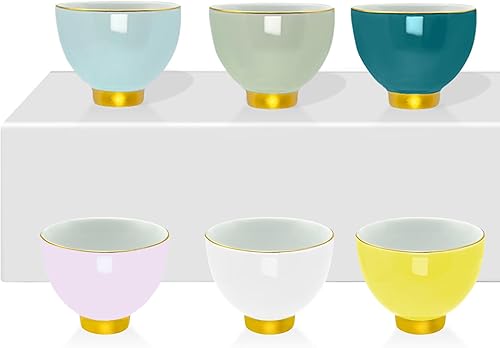 Juego de tazas de sake de 6 piezas, vasos de chupito de soju, tazas de té de porcelana, tazas de cerámica coreana, accesorios de té, vasos de
