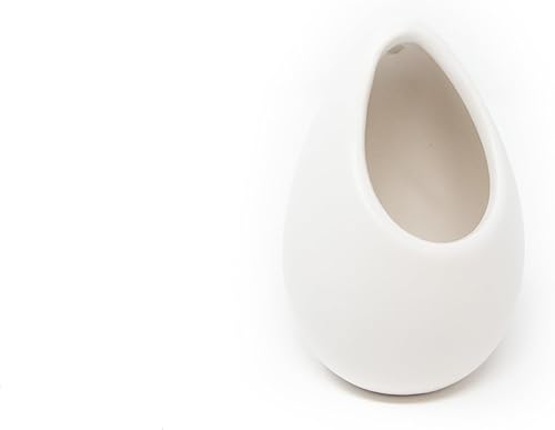 Miniatura 11 de Maceta de pared de cerámica blanca surtida – Tillandsia viva en soporte para plantas – Jarrón para plantas suculentas – Decoración para el hogar