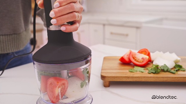Amazon.com: Blendtec Immersion Blender - Handheld Stick