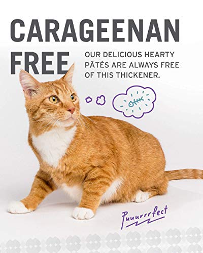 Image of I AND LOVE AND YOU Naked Essentials Canned Wet Cat Food - Variety Pack: Beef Recipe, Salmon+Chicken Recipe, Turkey Recipe, 3-Ounce, Pack of 12 Cans, variety pack pate; beef, salmon, turkey